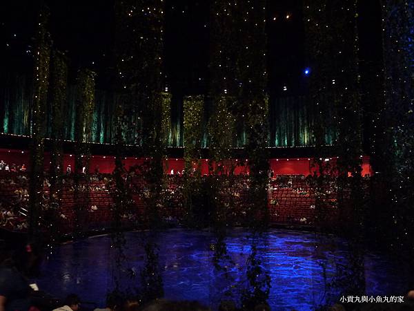 P1080587.JPG P1080587.JPG