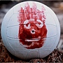castaway-wilson