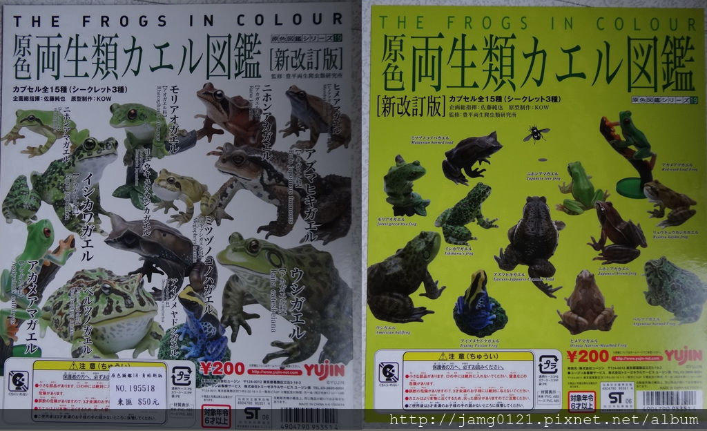 原色兩生類青蛙圖鑑_31.JPG 原色兩生類青蛙圖鑑_31.JPG