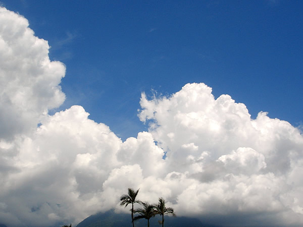 0908-hl01.jpg 0908-hl01.jpg