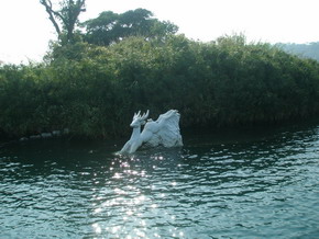 PC119885.jpg PC119885.jpg