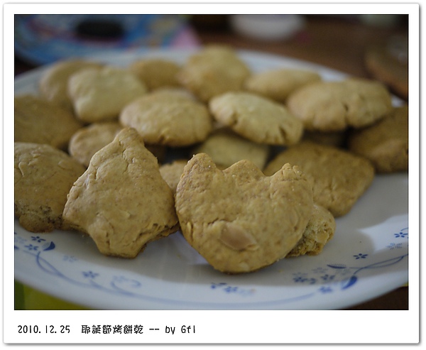 1225.JPG 1225.JPG
