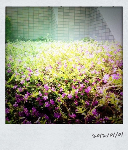 0101.jpg 0101.jpg