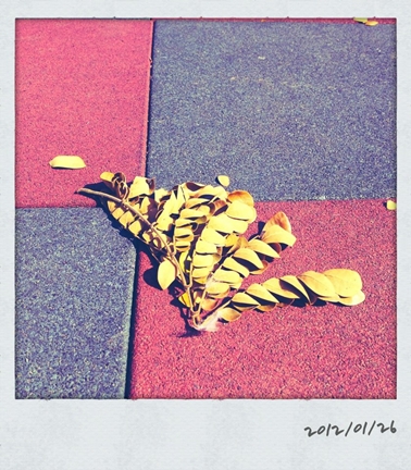 0126.jpg 0126.jpg