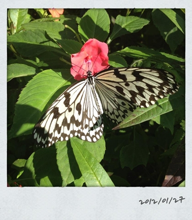 0127.jpg 0127.jpg
