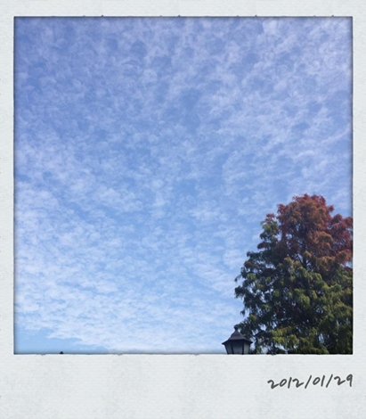 0129.jpg 0129.jpg