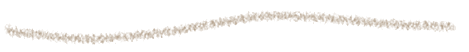 154864981 154864981