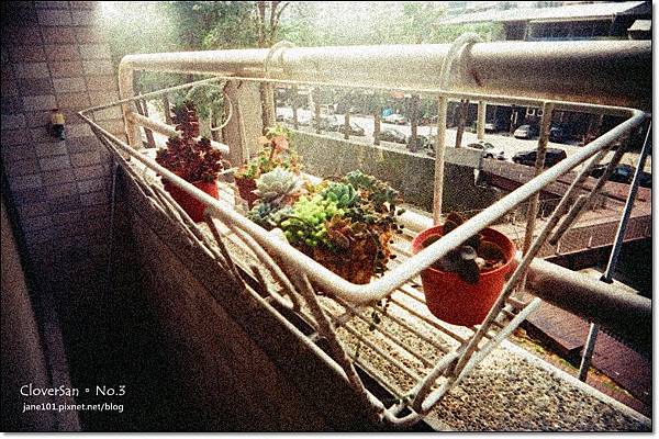 01980032.JPG 01980032.JPG
