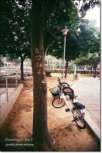 01980021.JPG 01980021.JPG