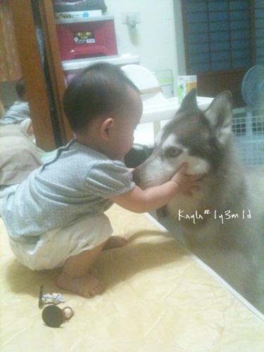 1000603 [1y3m1d]