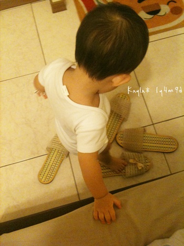 1000711 [1y4m9d]