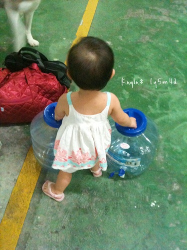 1000806 [1y5m4d]