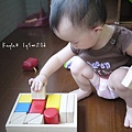 1000822 [1y5m20d]