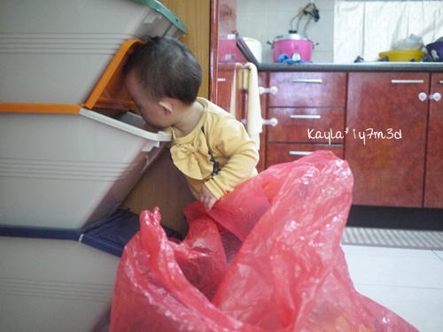1001005 [1y7m3d]