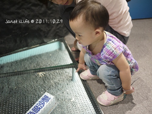 1001029 [1y7m27d] 