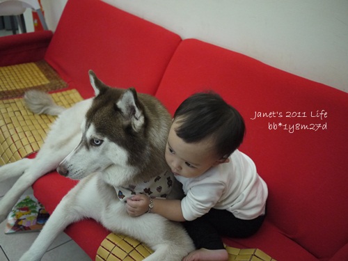1001129 [1y8m27d]