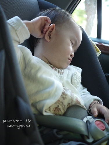 1001204 [1y9m2d]