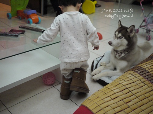 1001204 [1y9m2d]