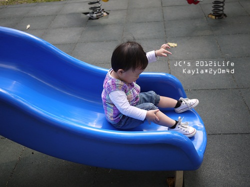 1010306 [2y0m4d]