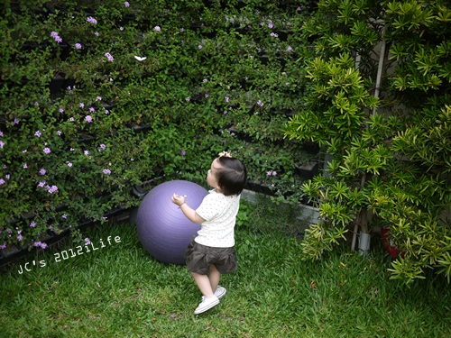 1010404 [2y1m2d]