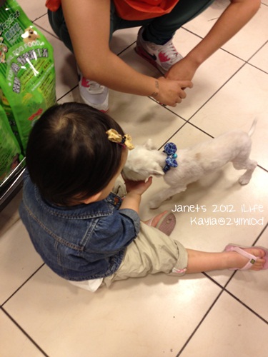 1010412 [2y1m10d]