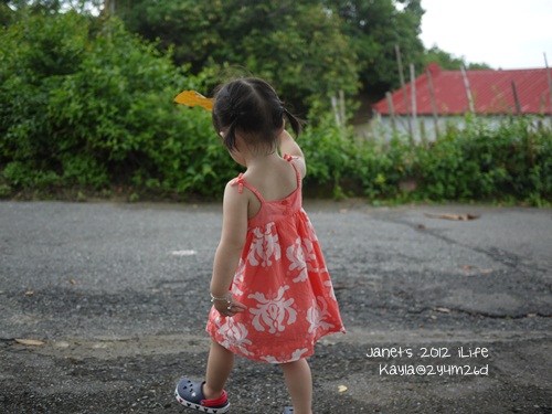 1010728 [2y4m26d]