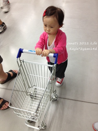 1010916 [2y6m14d]