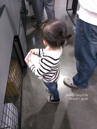 1020303 [3y1d]