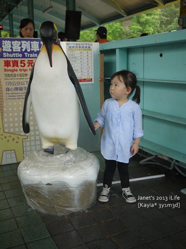 1010405 [3y1m3d]