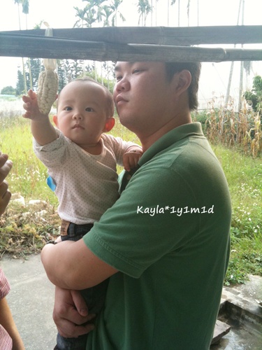 1000403 [1y1m1d]