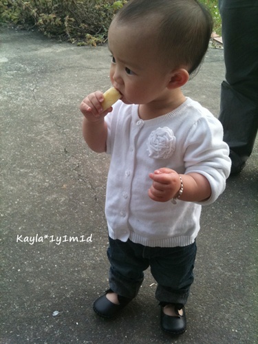 IMG_1055.JPG IMG_1055.JPG