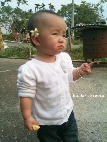 1000403 [1y1m1d]