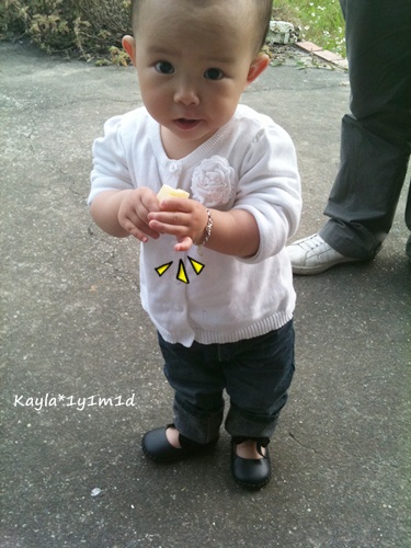 1000403 [1y1m1d]