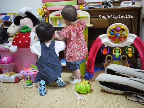 1000415 [1y1m13d]