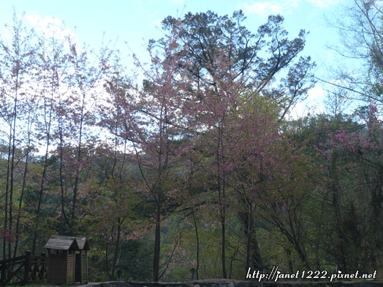 P1070570.JPG