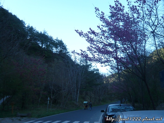 P1070575.JPG