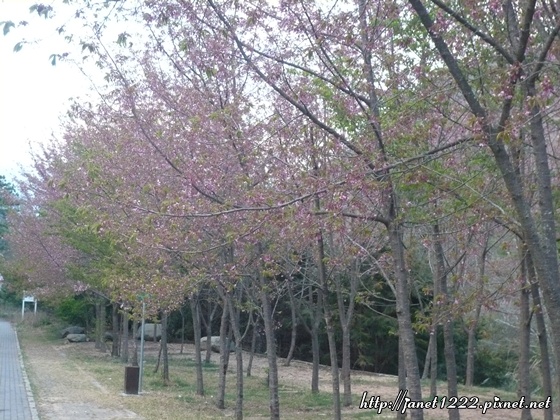 P1070580.JPG
