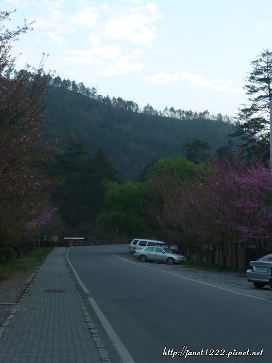 P1070584.JPG