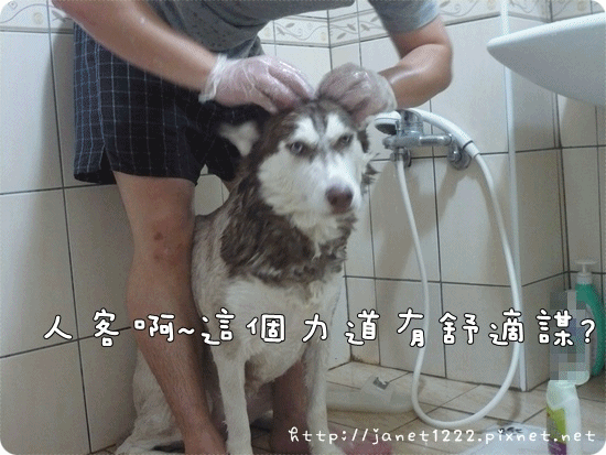 anigif2.gif