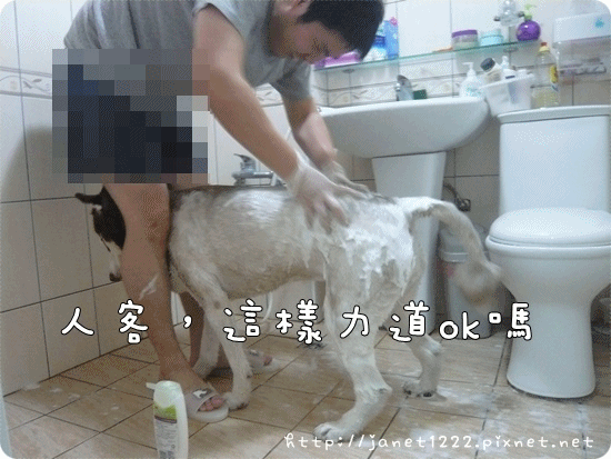 anigif.gif