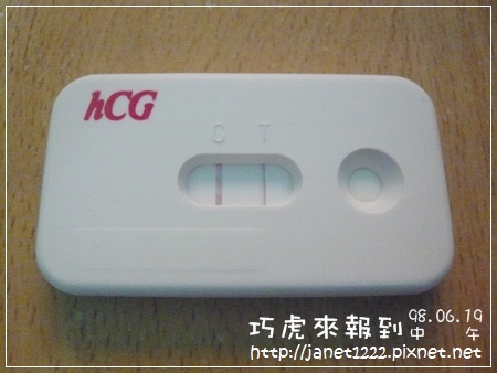 98.6.19中午.JPG