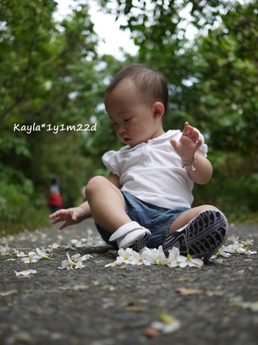 1000424 [1y1m22d]