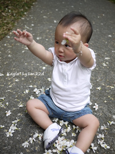 1000424 [1y1m22d]