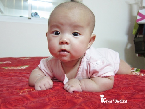 1Y‧記錄