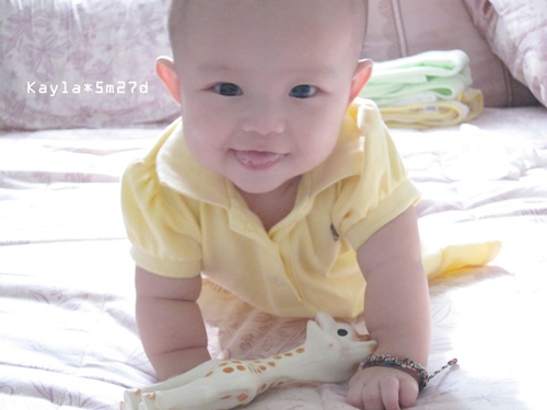 990829 [5m27d]