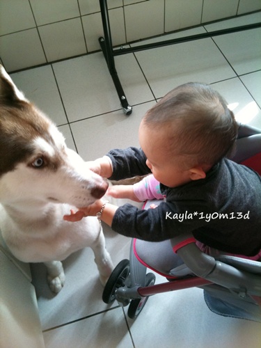 1000315 [1y0m13d]