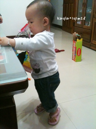 1000404 [1y1m2d]