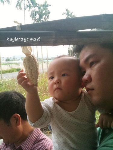 1000403 [1y1m1d]