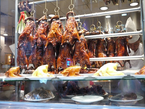 P1020894.JPG