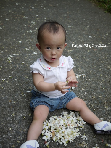 1000424 [1y1m22d]